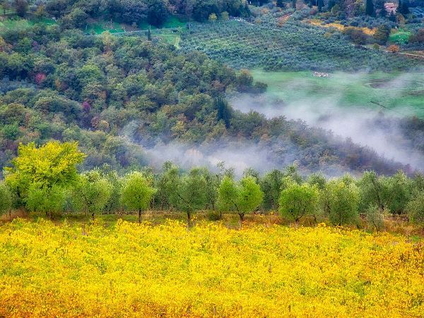 Eggers, Julie 아티스트의 Italy-Tuscany Autumn morning with fog in the Tuscan valley작품입니다.